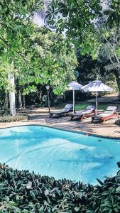 a swimming pool with two umbrellas and lounge chairs at Beachfront petfriendly cottage in Zinkwazi Beach
