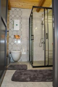 a bathroom with a shower and a tub and a toilet at VAESS Villa Dağ Evleri in Çamlıhemşin +85 photos