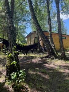 Vonkajšia záhrada v ubytovaní Domek nad Zegrzem z prywatnym jacuzzi
