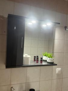 a bathroom with a mirror and a shelf with plants at AVRA Rooms in Therma +26 photos