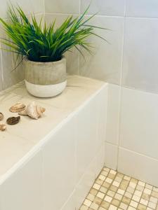 a potted plant sitting on a shelf in a bathroom at Milnerton Cottage in Cape Town +27 photos