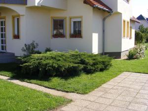 Vonkajšia záhrada v ubytovaní Apartments in Bük - Nordtransdanubien 20395