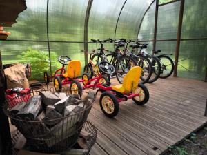 a group of bikes and scooters in a greenhouse at Viesu māja Sprīdīši in Tērvete