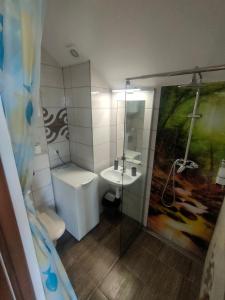 a bathroom with a toilet and a sink and a shower at House Seaside Relaxation - Nadmorski Relaks do 10 osób in Sarbinowo