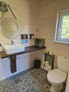 NiepoczołowiceDomek pod lasem的带水槽和马桶的浴室