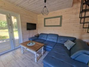 NiepoczołowiceDomek pod lasem的客厅里有一张蓝色的沙发和一张桌子
