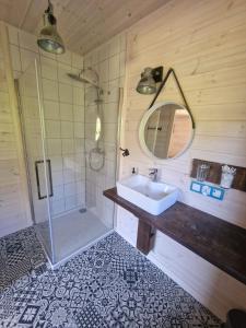 NiepoczołowiceDomek pod lasem的带水槽和带镜子的淋浴的浴室 更多10张照片