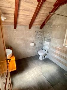 Bagno di Vila Davidovic-Fruska gora