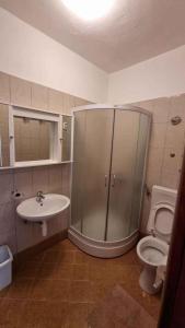 a bathroom with a shower and a toilet and a sink at Apartment Ljubac 2 in Ljubač +8 photos