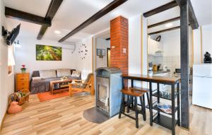 Η κουζίνα ή μικρή κουζίνα στο Lovely Home In Frkasic