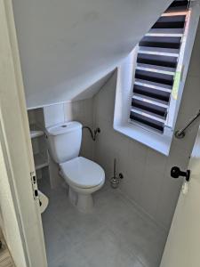 a bathroom with a toilet and a staircase at Nocleg pod Orzechem Apartament z 2 pokojami in Wapnica +16 photos