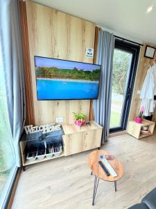 TV a/nebo společenská místnost v ubytování 446 Tiny House Shirokë