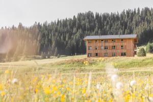 Příroda nedaleko apartmánu