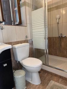 a bathroom with a toilet and a shower at AtESI HOUSE-CHORTO in Chorto +20 photos