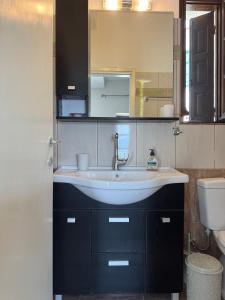 a bathroom with a sink and a toilet at AtESI HOUSE-CHORTO in Chorto
