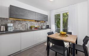 Η κουζίνα ή μικρή κουζίνα στο Pet Friendly Home In Kraljevica