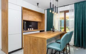 Kuchyň nebo kuchyňský kout v ubytování Awesome Home In Bajcici With Wifi