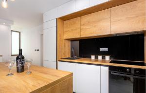 Kuchyň nebo kuchyňský kout v ubytování Awesome Home In Bajcici With Wifi