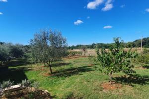 Vonkajšia záhrada v ubytovaní Apartments in Porec - Istrien 40228