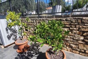 Vonkajšia záhrada v ubytovaní Apartments in Porec - Istrien 40228