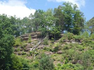 a rocky hill with trees and bushes on it at Apartments in Fischbach bei Dahn - Pfälzerwald 42914 in Fischbach bei Dahn