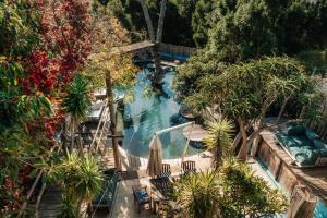 Afbeelding uit fotogalerij van Wonderland Boutique Guesthouse & Spa in Hout Baai