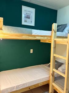 two bunk beds in a room with a green wall at Hostel of Santurce in San Juan