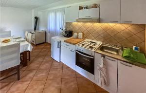 Kuchyň nebo kuchyňský kout v ubytování Holiday Home Barban 51