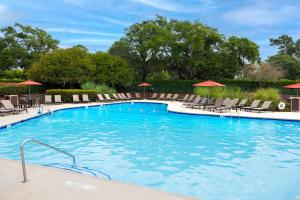 ein großer Swimmingpool mit Liegen und Sonnenschirmen in der Unterkunft 916 Cutter Court at The Sea Pines Resort in Hilton Head Island