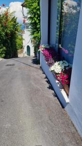 Gallery image of Casa Michelangela - Holistic bio Hotel in Ischia