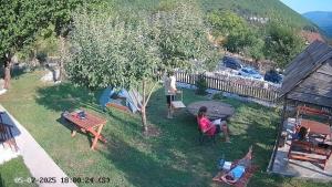 Příroda nedaleko bed and breakfast