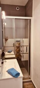 a bathroom with a sink and a counter with a mirror at Votre COCON Niçois in Nice +33 photos