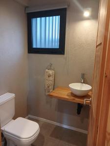 a bathroom with a toilet and a sink and a window at Cabañas Indómita in El Bolsón
