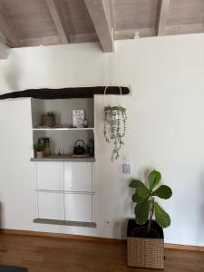 Kuchyň nebo kuchyňský kout v ubytování Il Cottage
