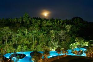 Bazén v ubytování The Westin Resort & Spa Ubud, Bali nebo v jeho okolí