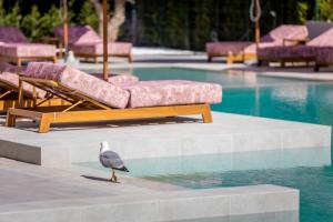 a bird standing in front of a swimming pool at J'ADORE Secret Garden A&K Deluxe Studio in Sunny Beach