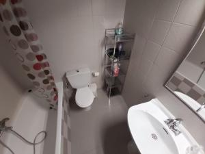 a small bathroom with a toilet and a sink at Estudio pequeño in Andorra la Vella