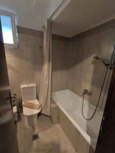 une salle de bain avec une baignoire, des toilettes et une douche dans l'établissement Fridas Home Apartment, à Alexandroúpolis 21 autres photos