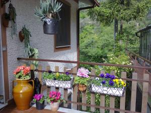 a bunch of flowers in pots on a balcony at La Margherita di Teriasca in Teriasca