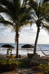 two palm trees and umbrellas on a beach at Samas Lasal - Hotel La Saladita in Temalhuacán