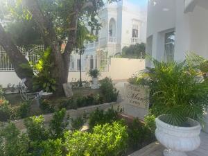 un giardino di fronte a un edificio con un albero di Villa exclusiva junto al mar en Cartagena a Cartagena de Indias