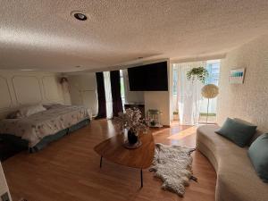 una camera da letto con un letto, un tavolo e un divano di Private room in Lomas, Polanco a Cedro