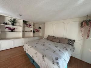 una camera da letto con un letto con pareti bianche e scaffali di Private room in Lomas, Polanco a Cedro