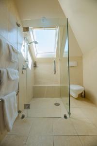 ラッセルにあるRussell Wharf House - Strand Apartmentのガラス張りのシャワーとトイレ付きのバスルーム +6枚の写真