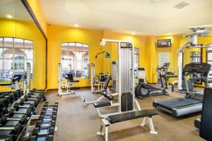 Γυμναστήριο ή/και όργανα γυμναστικής στο Sonoran Sun