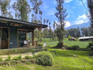 a house in a field with mountains in the background at Elen Homestay by ABM in Bromo