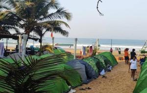 Una hilera de tiendas de campaña en una playa con una palmera en S R A vill, en Gokarna