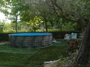 ein Pool im Garten mit einem Baum in der Unterkunft Vivienda Principal Torre de Campos in Ainzón