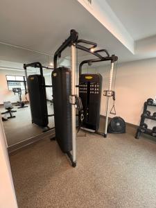 Fitness centrum a/nebo fitness zařízení v ubytování RED Mountain Gem