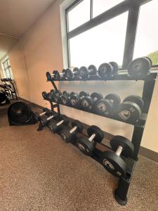 Fitness centrum a/nebo fitness zařízení v ubytování RED Mountain Gem